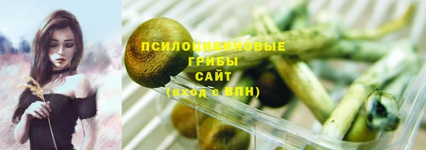 круглые Алзамай