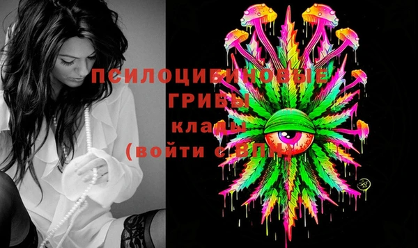 круглые Алзамай