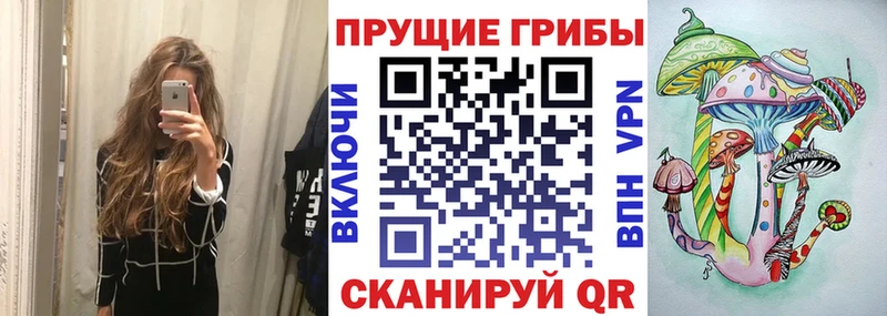 закладка  Коряжма  Галлюциногенные грибы Psilocybine cubensis 